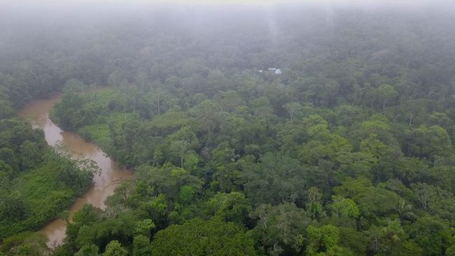 Shiripuno Amazon Lodge Amazon Rainforest in Ecuador