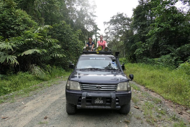 Searching for mammals in Deramakot Forest Reserve.