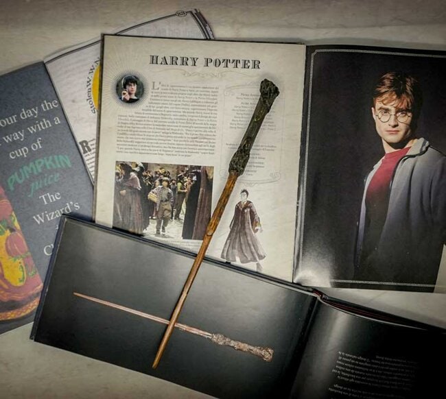 Di Cosa è Fatta La Bacchetta Di Harry Potter