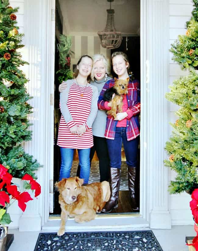Blue And White And Red Christmas Decor Thistlewood Farm