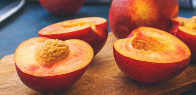 nectarines dog food