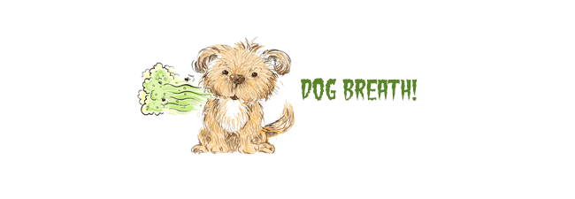 Dog Bad Breath Curse Of Toy Dogs About Morkies Dog Bad Breath Curse Of Toy Dogs