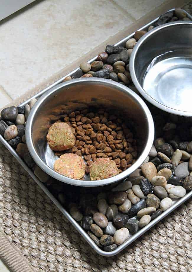 Homemade raw dog food