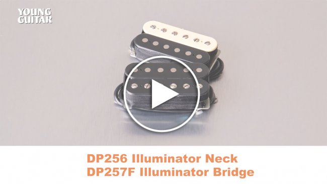 DP256 Illuminator Neck&DP257F Illuminator Bridge