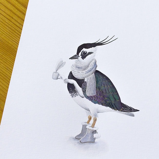 Inktober, lapwing, lapwing illustration, birds illustration,