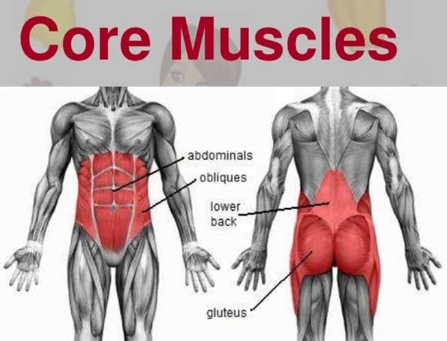 core muscles