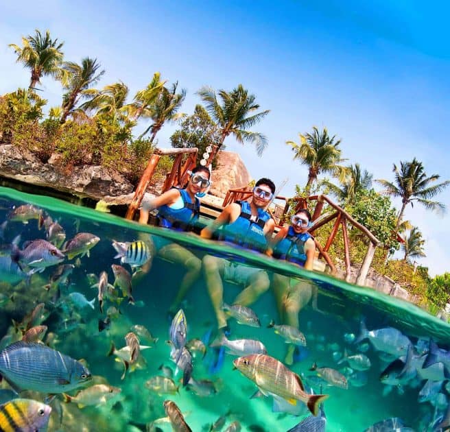 Cancún, Mexiko - 40 Aktivitäten für Deinen Urlaub 14 Ausflüge in Cancun, Mexiko - Schnorcheln in der Lagune von Xel-Há