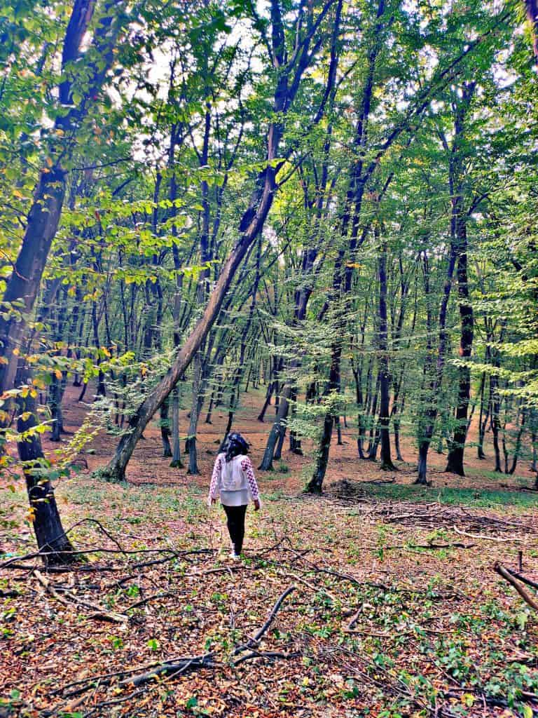 48 hours in Cluj Napoca