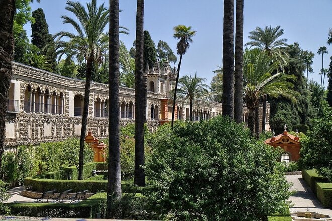Real-Alcazar