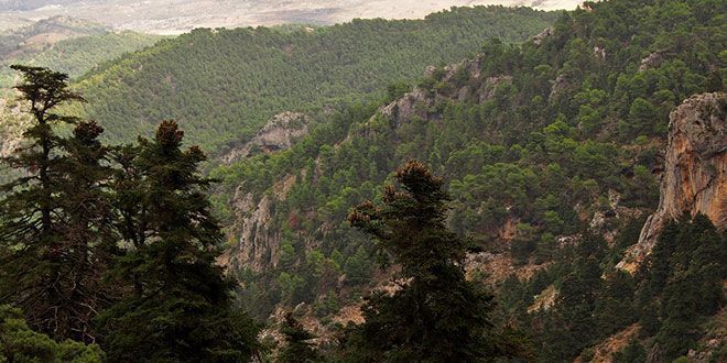 Cuando el otoño llega a la Sierra de las Nieves