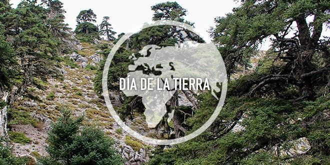 22 DE ABRIL, DÍA DE LA TIERRA