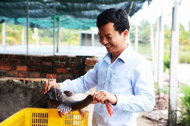 chủ trại cá lăng nha