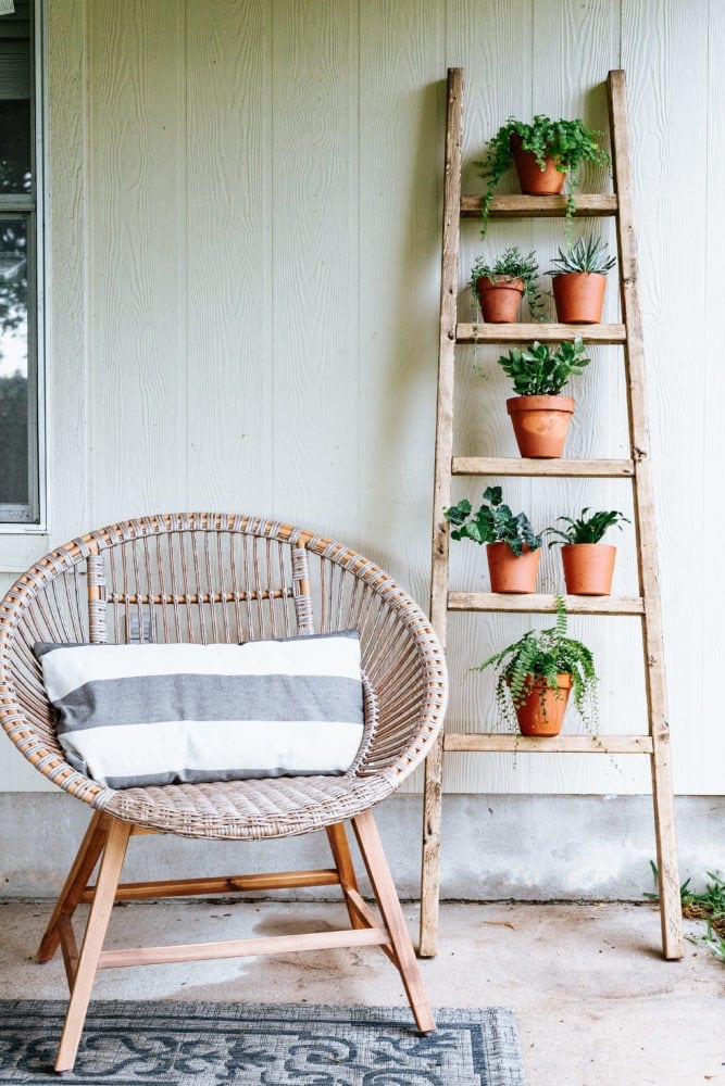 tall ladder leaning against house with plants on rungs