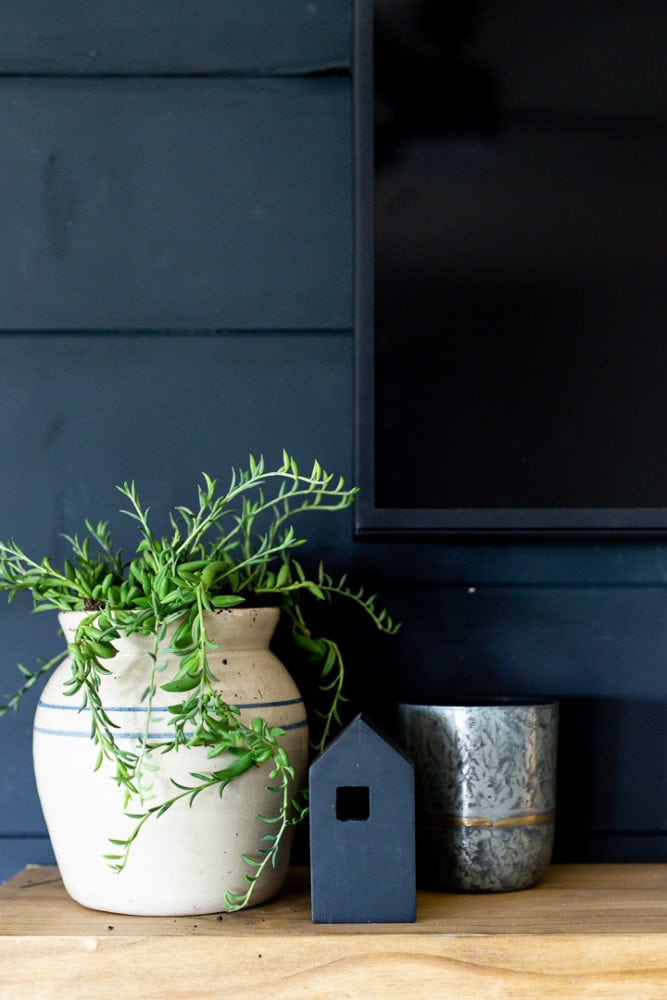 grand vase avec une succulente plantée dedans