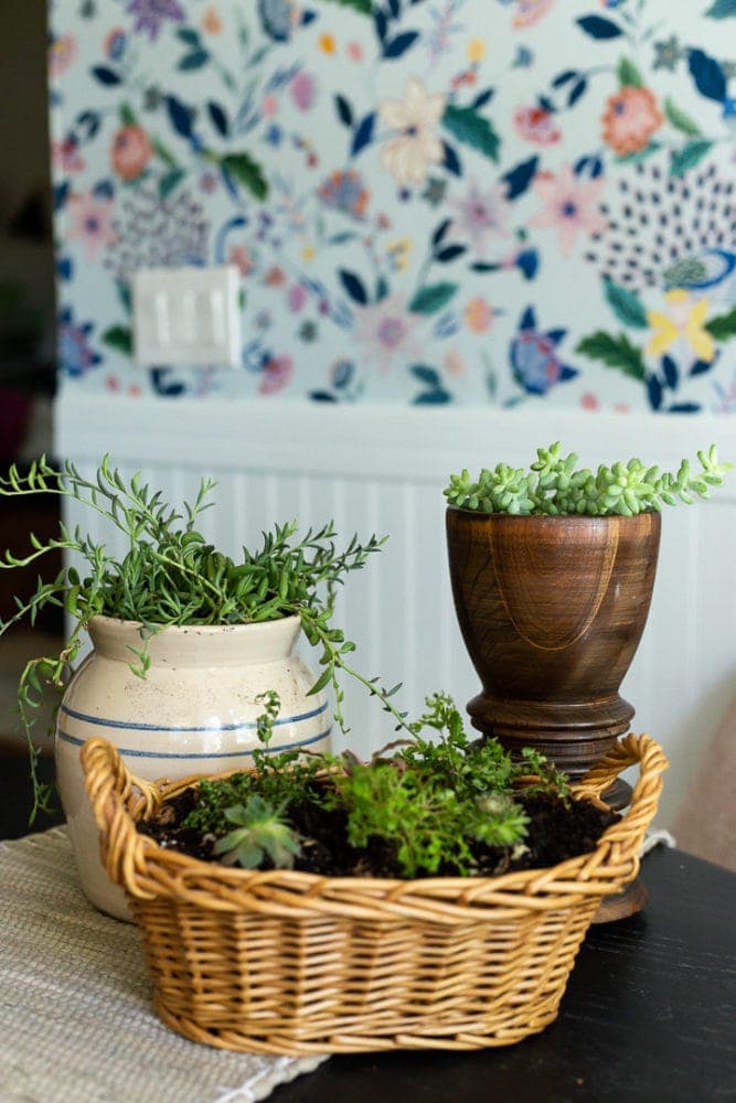 trois vases et paniers de friperie qui ont été transformés en jardinières