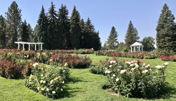 image of rose garden manito