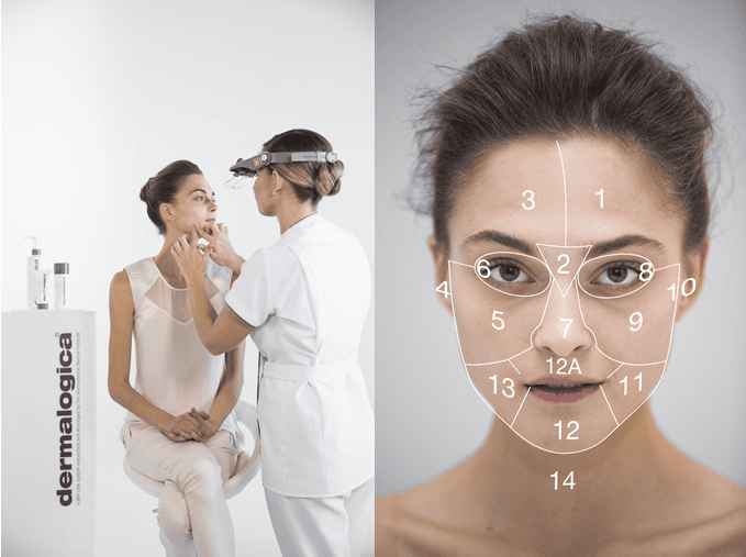 Dermalogica Face Mapping®