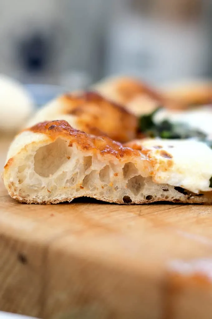 a closeup shot of the crumb on a slice of sourdough pizza
