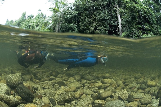 Mossman River - Queensland