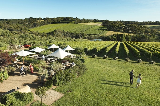 Wine regions