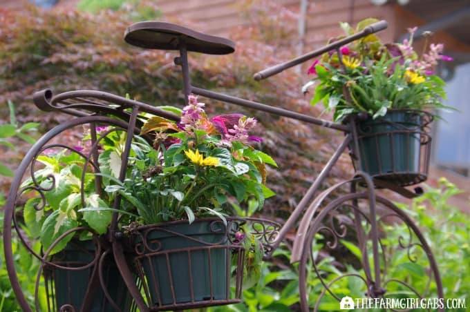 Container Gardening 101: Tips and Tricks For Growing The Most Beautiful Planters On The Block