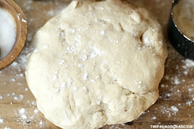 With a few simple ingredients, the Best Pizza Dough recipe is perfect for pizza night in your home!