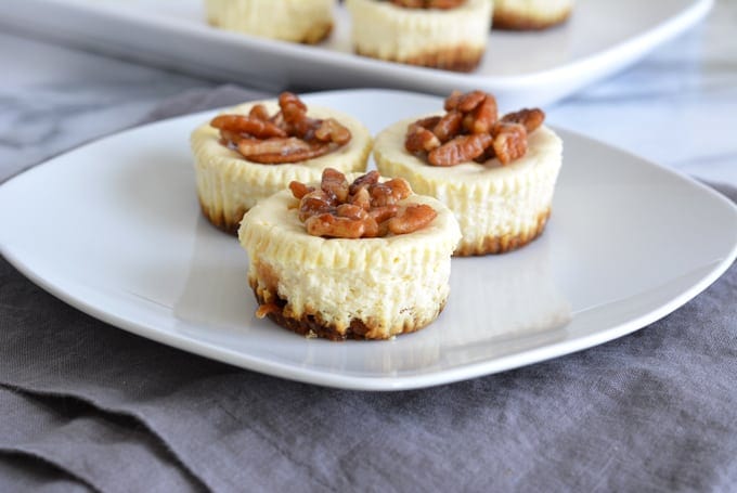 Pecan Topped Mini Cheesecakes with Gingersnap Crust is low in sugar and rich in protein. Made with low sugar yogurt and stevia. Perfect for your holiday dessert.