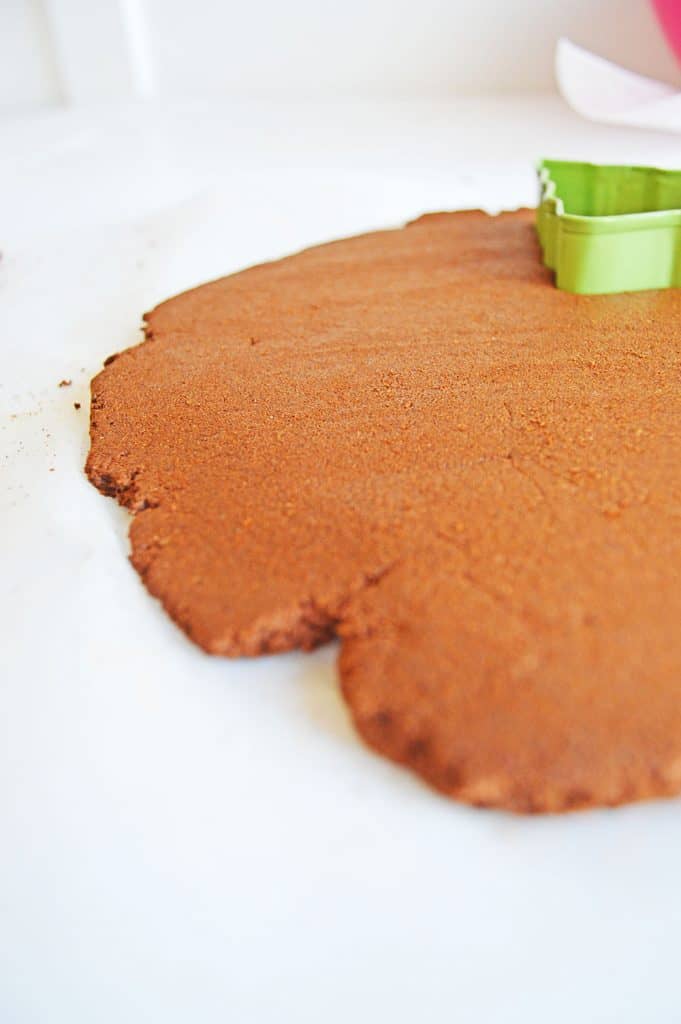 rolled out cinnamon ornament dough