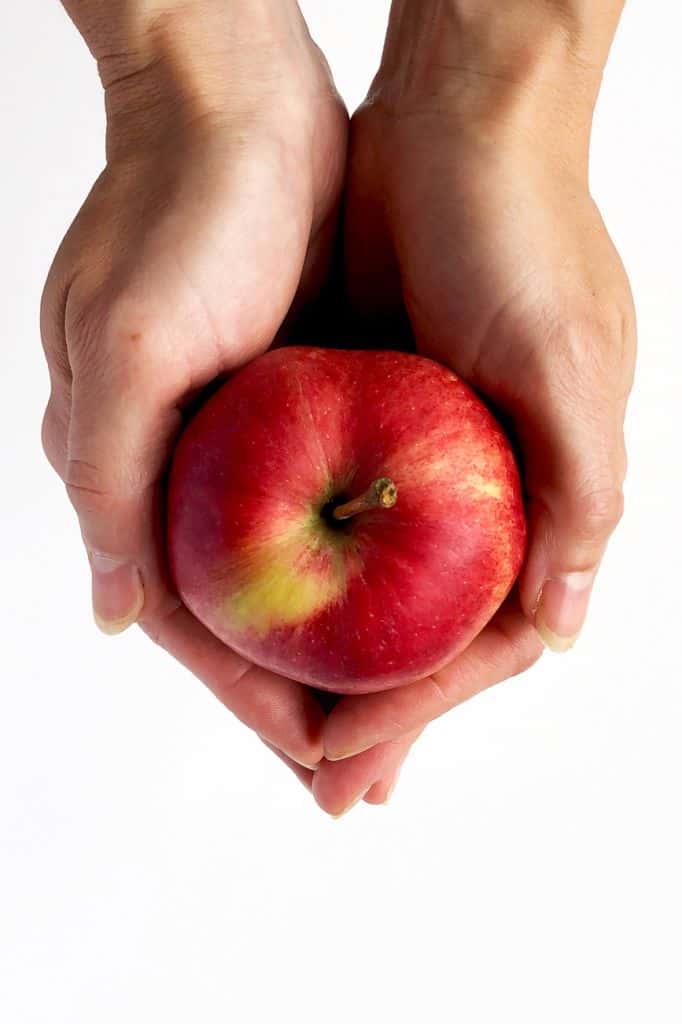 Apple Ingredients