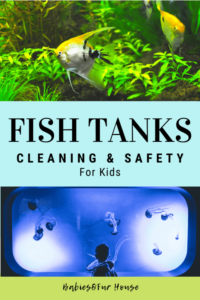 Fish Tanks: Cleaning & Safety For Kids