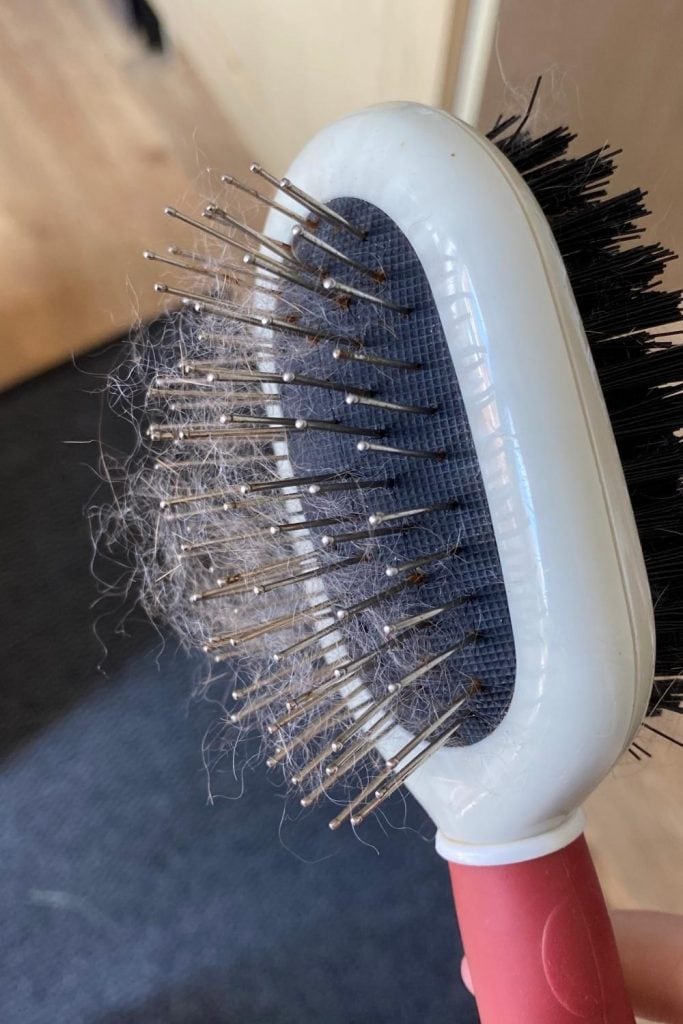 best cheap brush for grooming rabbits