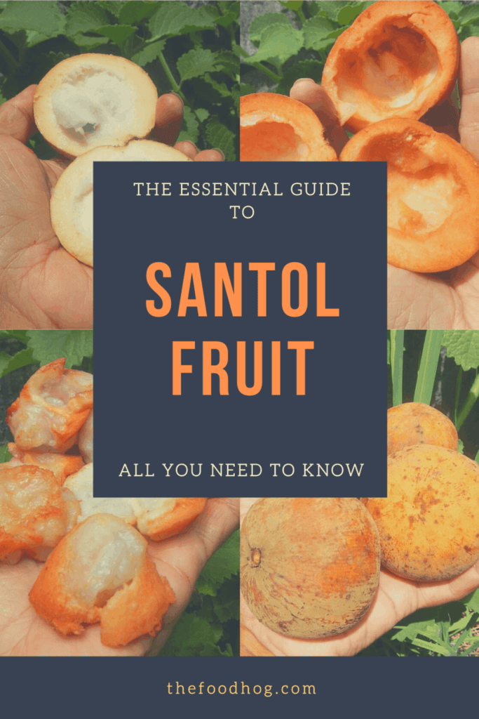 santol fruit