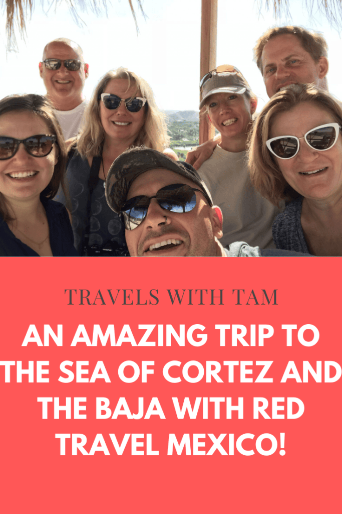 red travel mexico, travels with tam, sea of cortez, baja, c