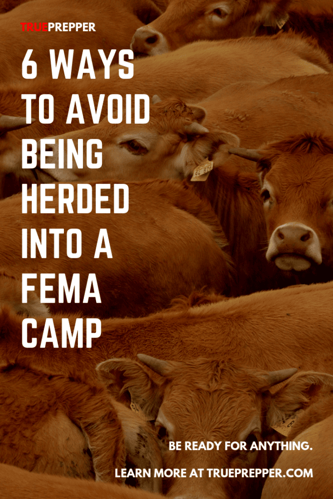 6 Ways to Avoid Being Herded into a FEMA Camp