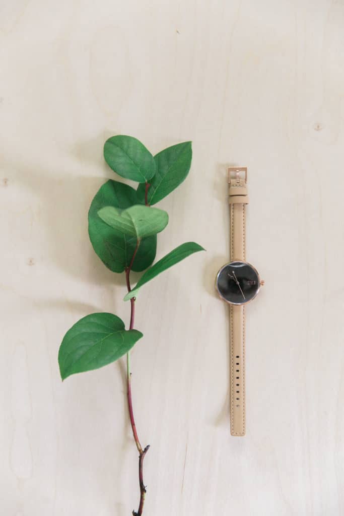 clean design, jord, jord and travels with tam, alexandra minton photography, wood watches