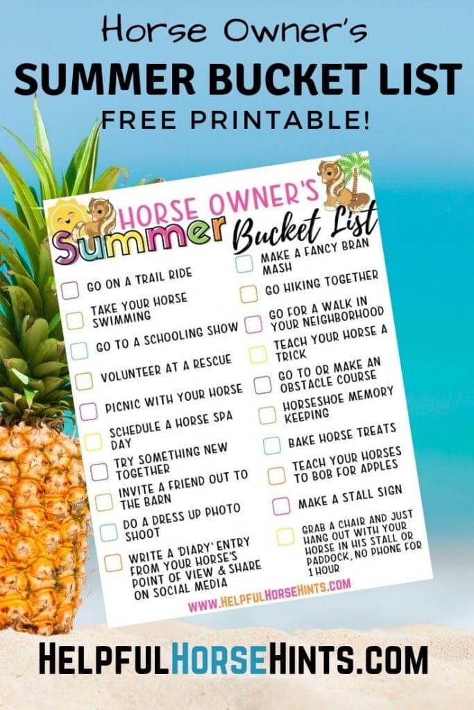 Summer Bucket List 20 Things To Do With Your Horse Helpful