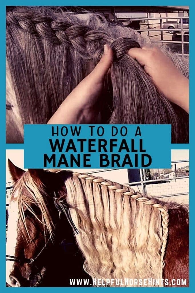 Learn how to do a waterfall horse mane braid on your horse. Includes video instructions.