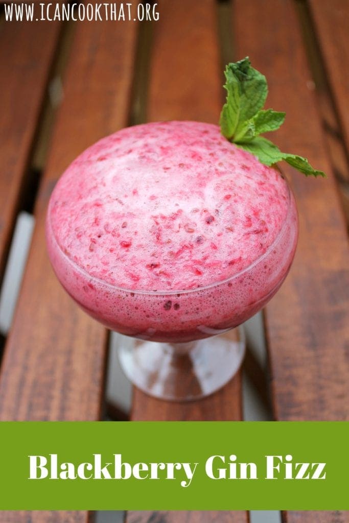 Blackberry Gin Fizz Cocktail Recipe | I Can Cook That