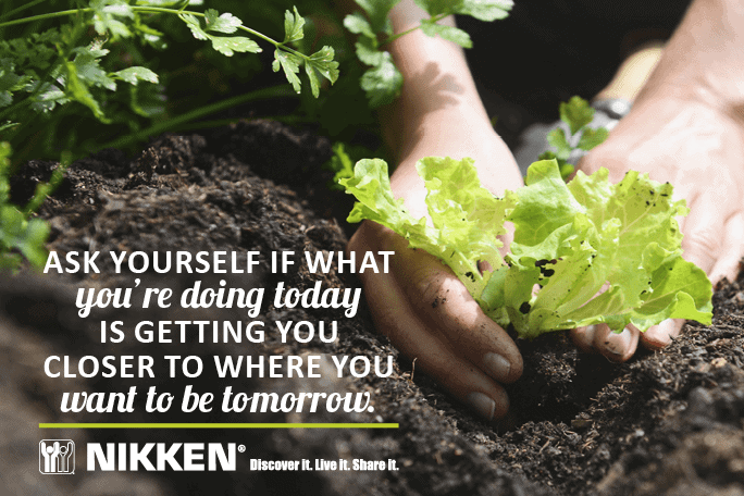 Ask_yourself (planting a tree) picture of a tree being planted as the beginning of a flexible home based business.