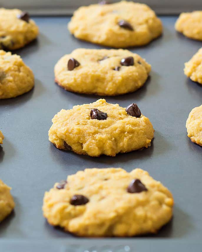 Soft Coconut Flour Chocolate Chip Cookies » LeelaLicious