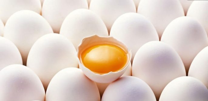 Os ovos são uma boa fonte de alimentos saudáveis?