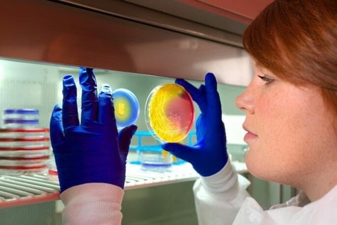 MRSA - المكورات العنقودية الذهبية المقاومة للميثيسيلين