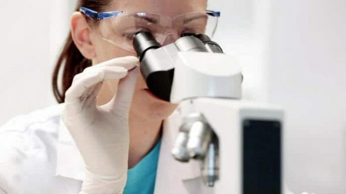 Infection à méningocoque: traitement et prévention de la méningite