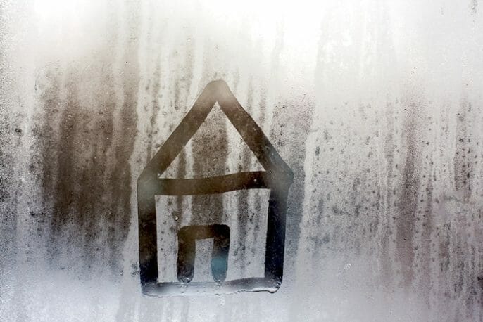 Invierno: ¿el frío, la humedad y el moho hacen de su hogar un peligro para la salud?