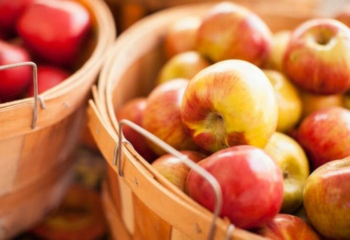 أفضل الفواكه والخضروات الموسمية لتناول الطعام هذا الخريف