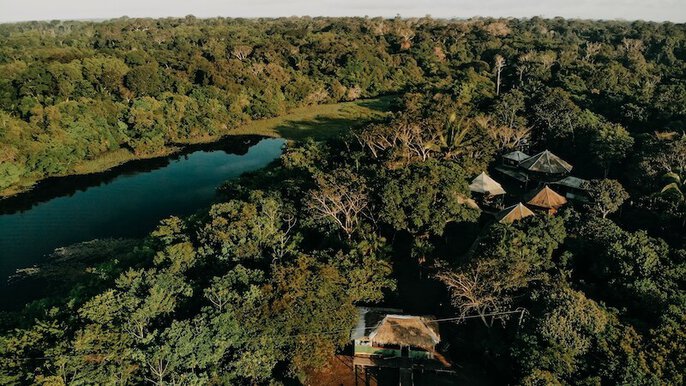 Amazonas