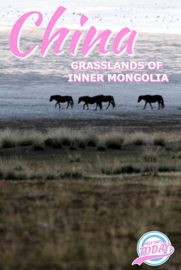 Grasslands of inner Mongolia