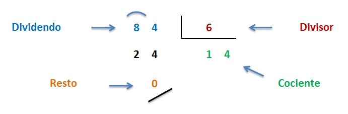 elementos y partes de la division