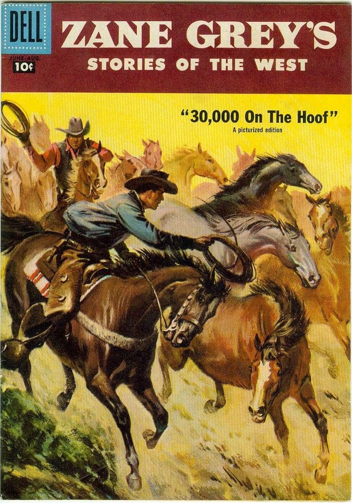 Book cover with illustration of two cowboys attempting to rope wild horses