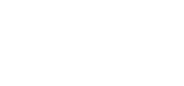 pretty noice records wLogo musiklabel